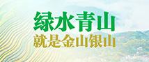 绿水青山就是金山银山